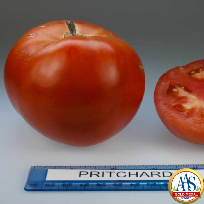 Tomato Pritchard