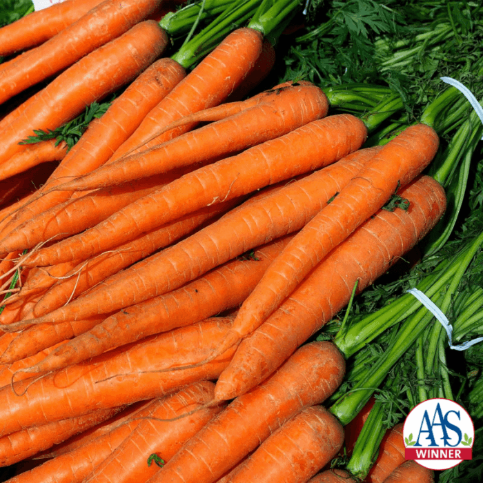 Carrot Imperator - AAS Winner