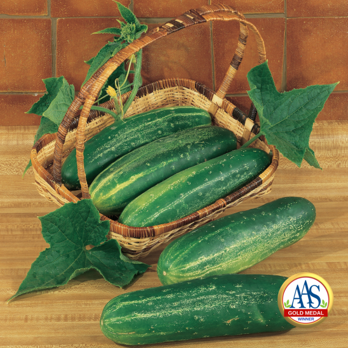 Cucumber Straight 8