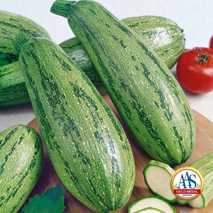 Squash Caserta