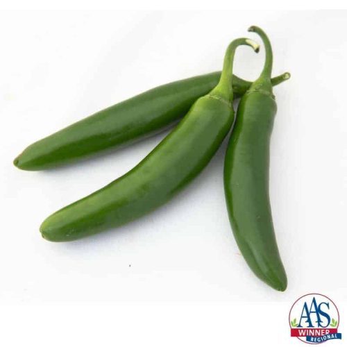When you need Serrano peppers to help bring the heat to your recipes, look no further than Pepper Flaming Jade F1, our 2016 AAS Regional Winner for the Heartland and Great Lakes areas.