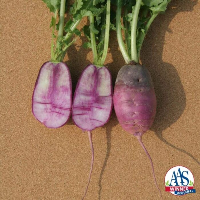 Radish Sweet Baby