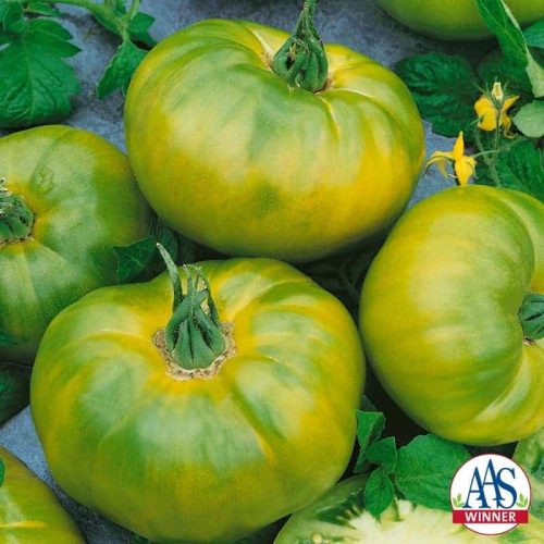 Chef's Choice Green Tomato - The newest addition to the Chef’s Choice series produces beautiful green colored fruits with subtle yellow stripes and a wonderful citrus-like flavor and perfect tomato texture.