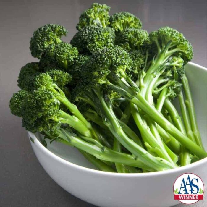 Broccoli Artwork is a unique and beautiful dark green stem broccoli that has only recently become available to home gardeners.