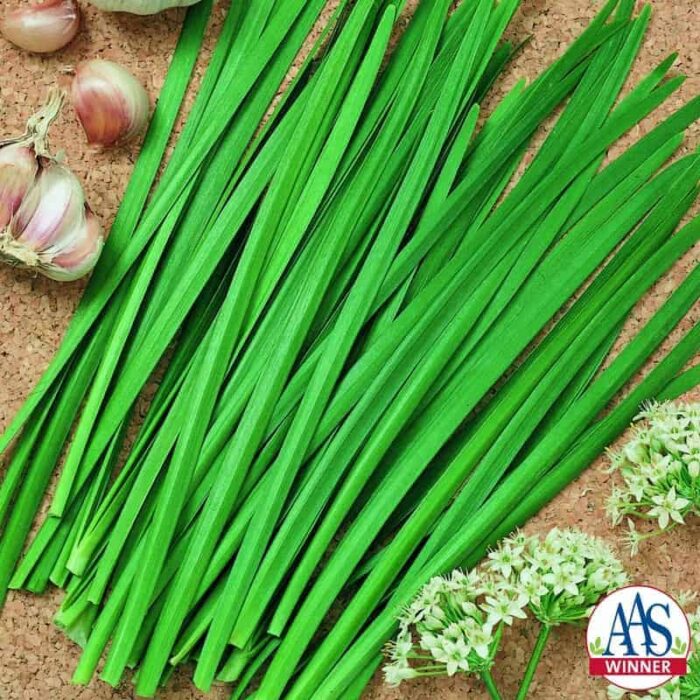 Chives Garlic Geisha Slightly wider, flatter and more refined leaves topped by pretty white flower stalks late in the season mean this is another edible that can serve a dual purpose as an ornamental.