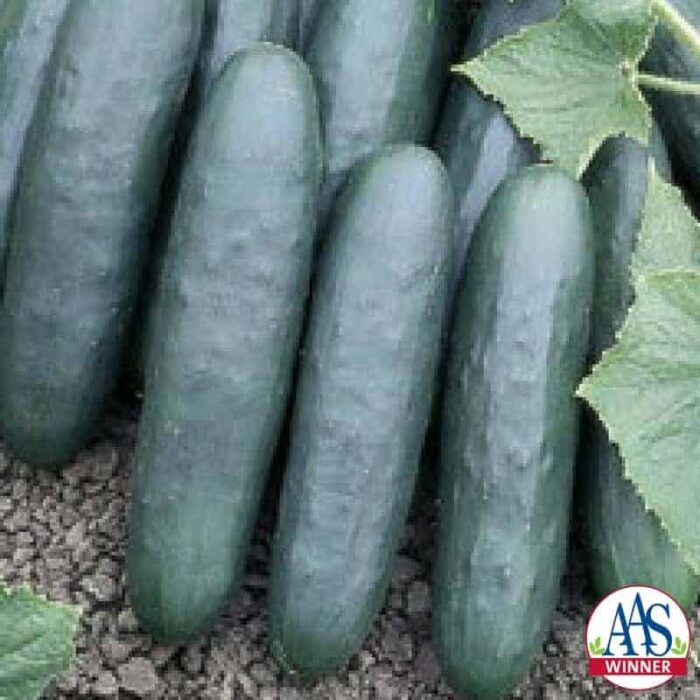 Cucumber Marketer