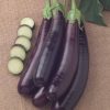 Eggplant Hansel F1 - 2008 AAS Vegetable Award Winner Hansel was bred by an eggplant lover.
