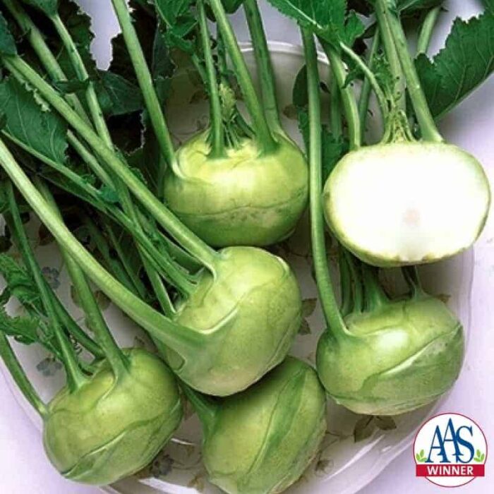 Kohlrabi Grand Duke