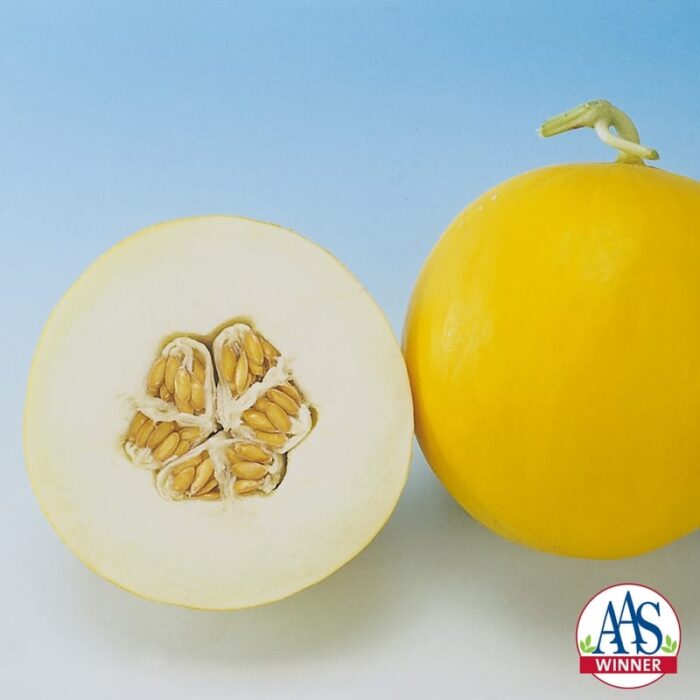 Melon Amy- 2004 AAS Edible - Vegetable Winner