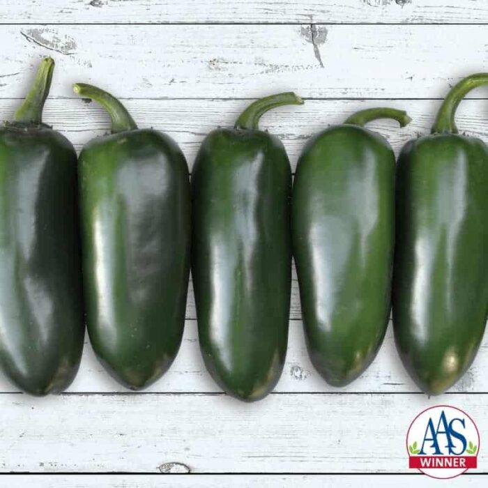 Pepper Emerald Fire - Emerald Fire produces gorgeous, glossy green peppers with thick walls that have very little cracking, even after maturing to red.