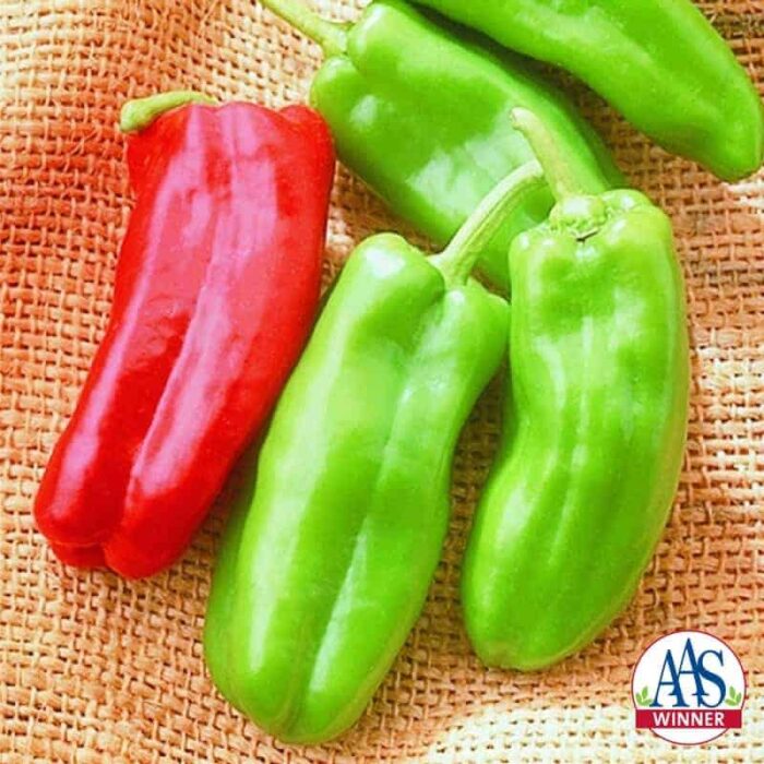 Pepper Giant Marconi F1- 2001 AAS Edible - Vegetable Winner - Giant Marconi is an improved Italian grilling pepper.