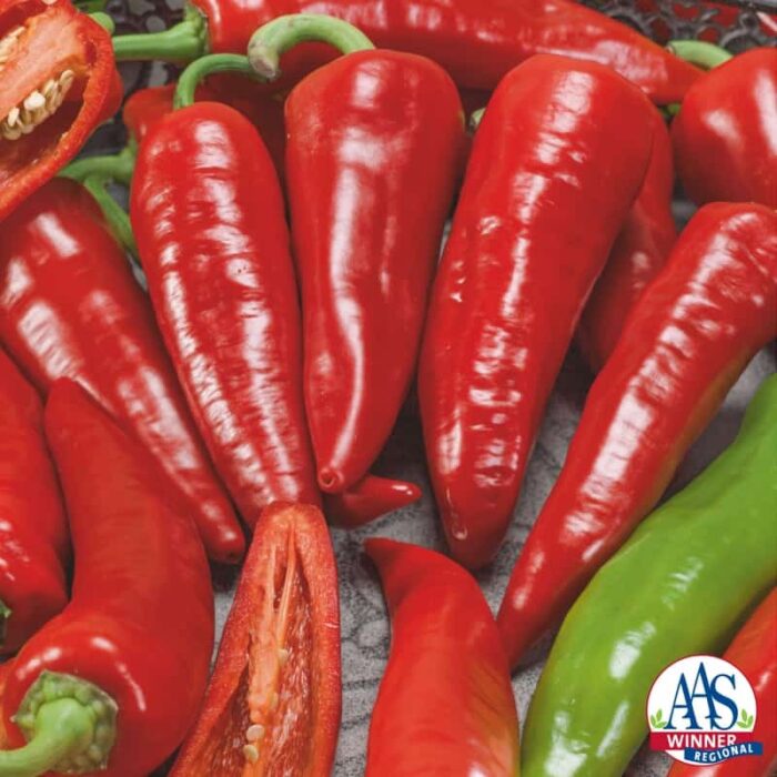Pepper Giant Ristra F1 2014 AAS Vegetable Award Winner Heavy yield of bright red very hot 7-inch chile peppers.