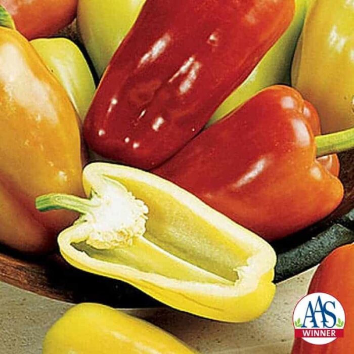 Pepper Gypsy hybrid