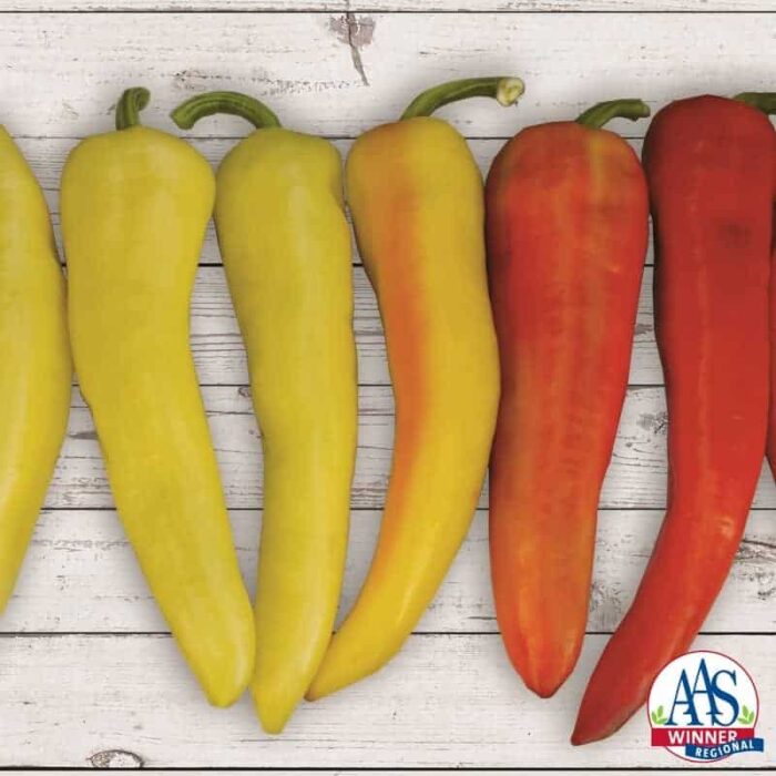 Pepper Sweet Sunset