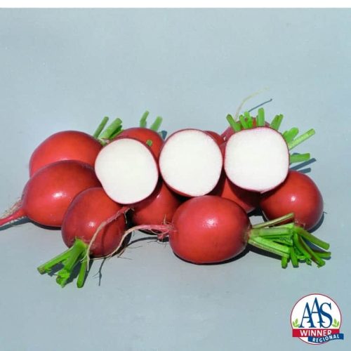 Radish Rivoli 2014 AAS Vegetable Award Winner Upright healthy leaves with fruit that is an even-colored bright red.
