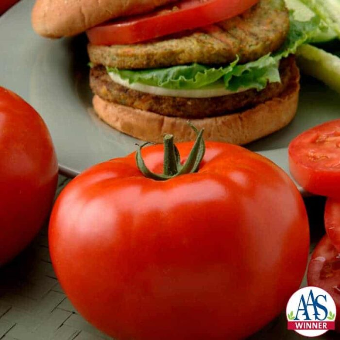 Tomato Big Beef hybrid