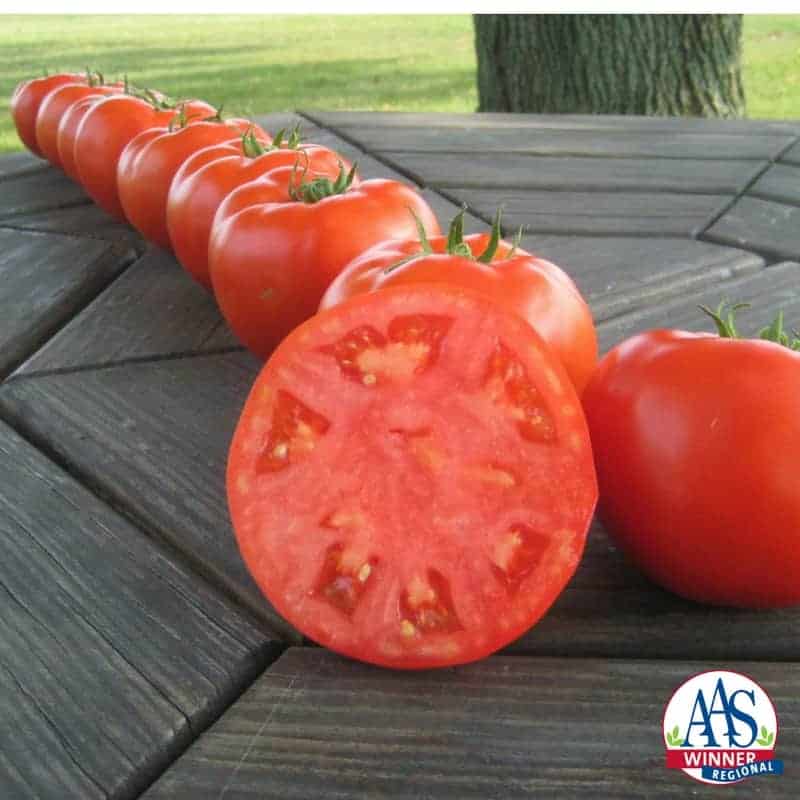 Tomato Mountain Merit F1 2014 AAS Vegetable Award Winner Mountain Merit was judged by growers in the Heartland region as a superior tomato because it is such a nice all-around tomato, perfect for slicing and sandwiches.
