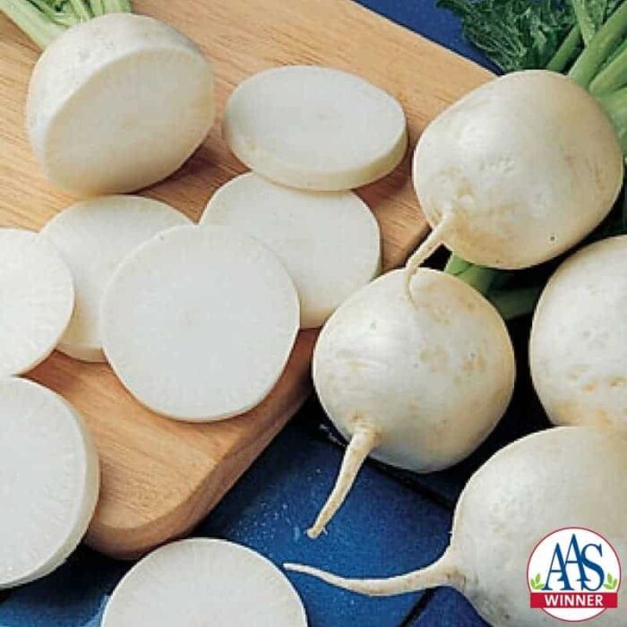 Turnip Tokyo Cross