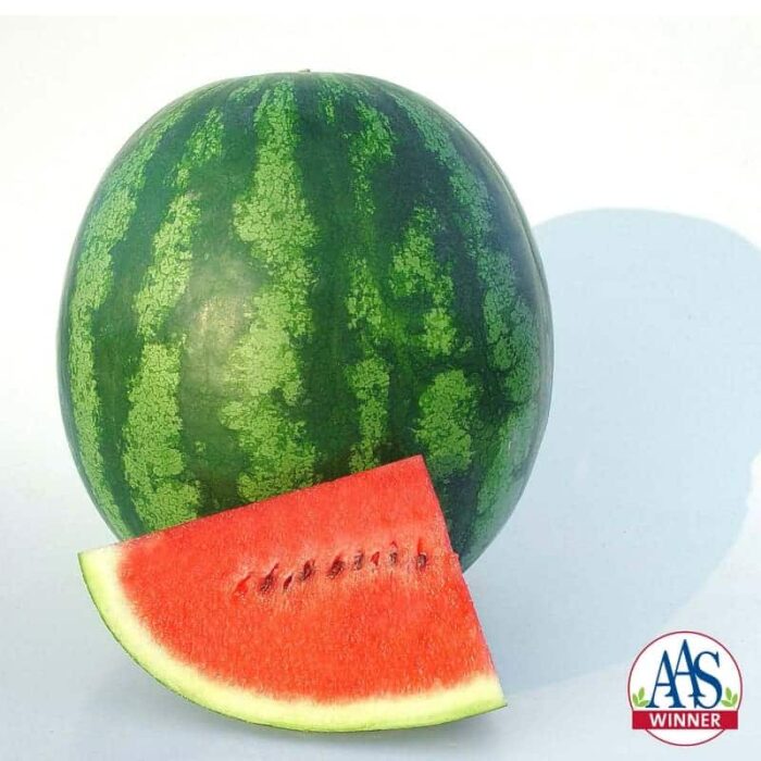Watermelon Shiny Boy F1 - 2010 AAS Vegetable Award Winner This AAS Winner has sweet tropical flavor and crisp texture.