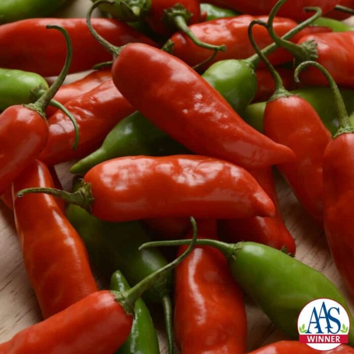 Aji Rico Pepper F1 - 2017 AAS Edible-Vegetable National Winner