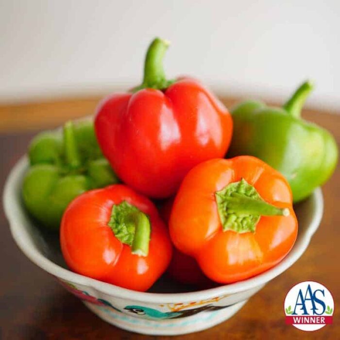 Pepper Chili Pie - 2017 AAS Edible-Vegetable Winner