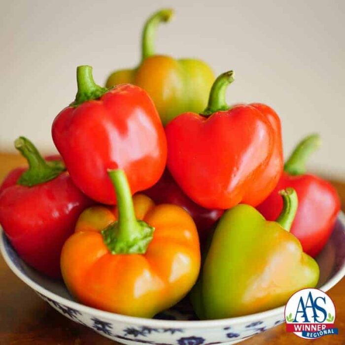 Pepper Sweetie Pie F1 - 2017 AAS Edible-Vegetable Winner