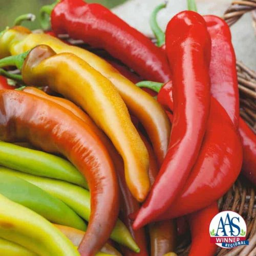 Pepper Hungarian Mexican Sunset - 2018 AAS Edible - Vegetable Winner