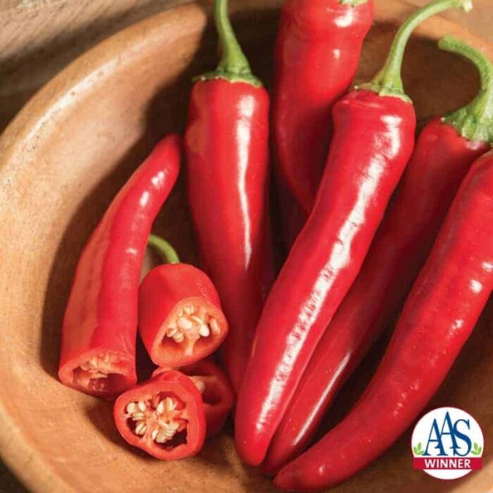 Pepper cayenne Red Ember - 2018 AAS Edible - Vegetable Winner