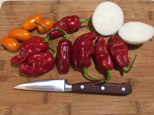 Pepper habanero Roulette - 2018 AAS Edible - Vegetable Winner