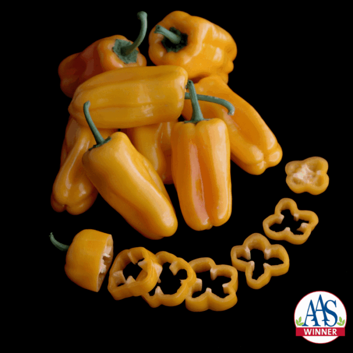 Pepper Just Sweet - 2019 AAS Edible-Vegetable Winner