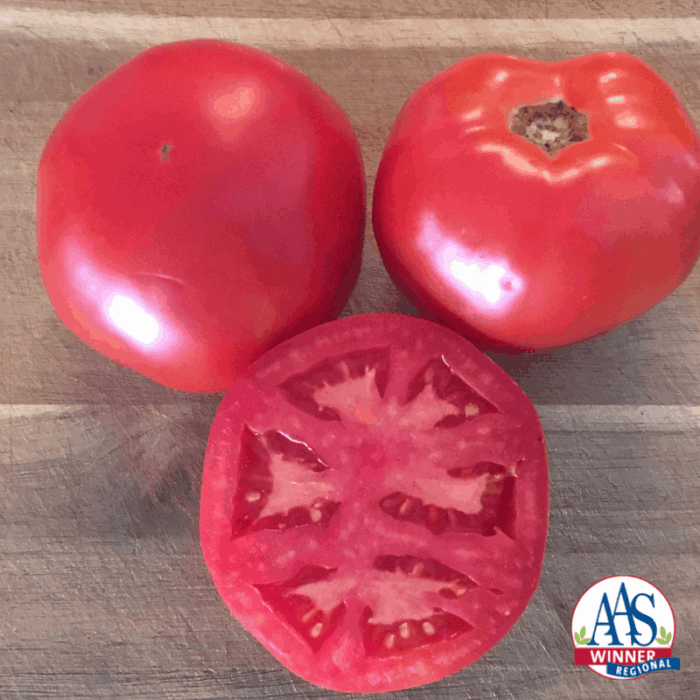 Tomato Galahad - 2020 AAS Edible-Vegetable Winner