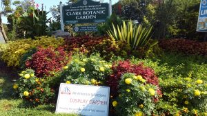 Third Place Winner: Clark Botanic Garden, Albertson, New York