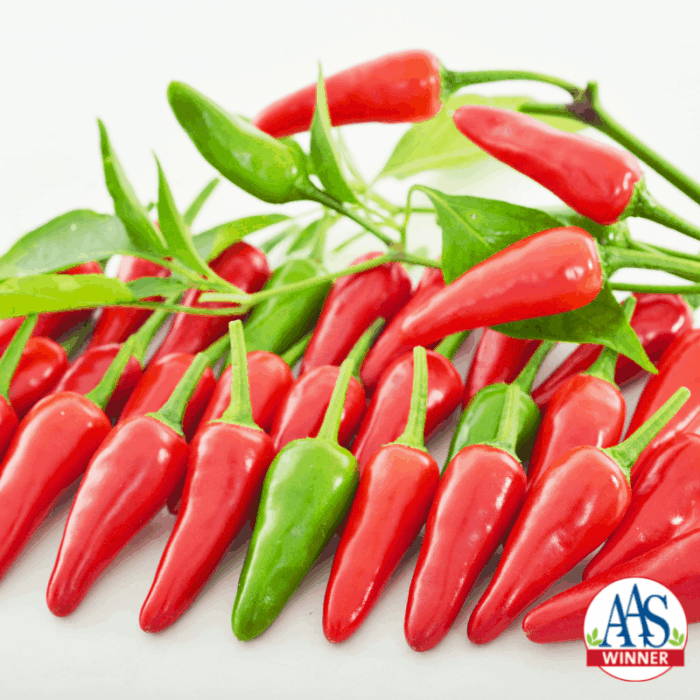 Pepper Buffy - AAS Edible-Vegetable Winner