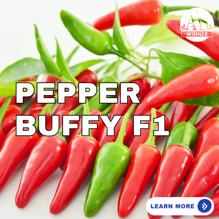 Pepper Buffy