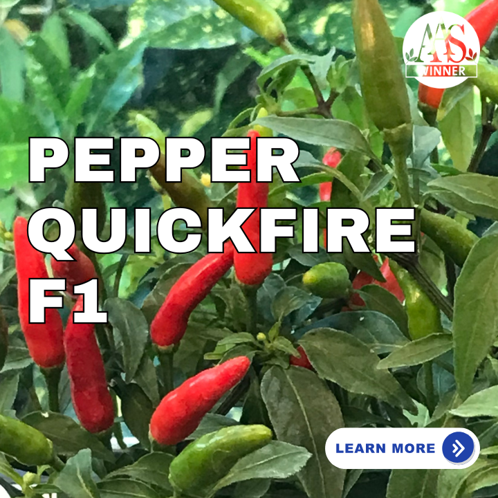 Pepper Quickfire