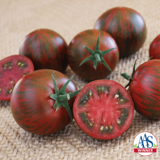 Tomato Purple Zebra F1 | All-America Selections Edible-Vegetable Winner