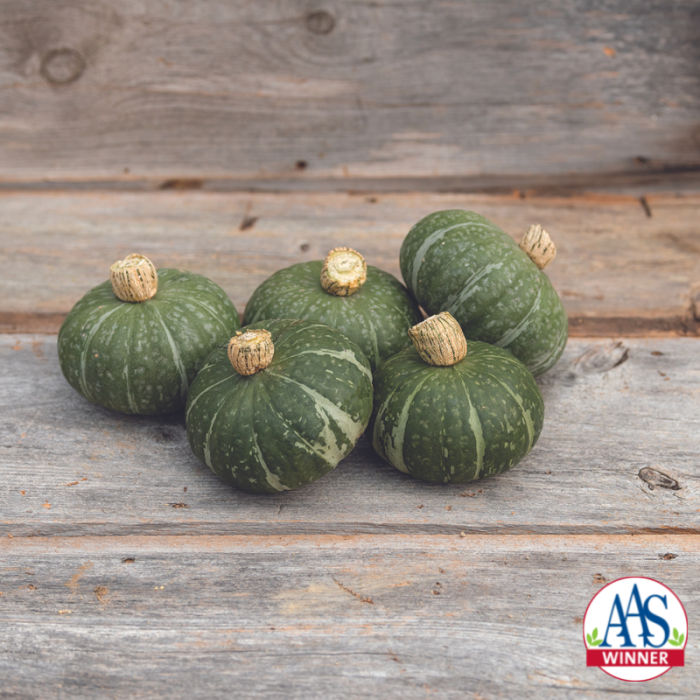 Squash kabocha Sweet Jade F1