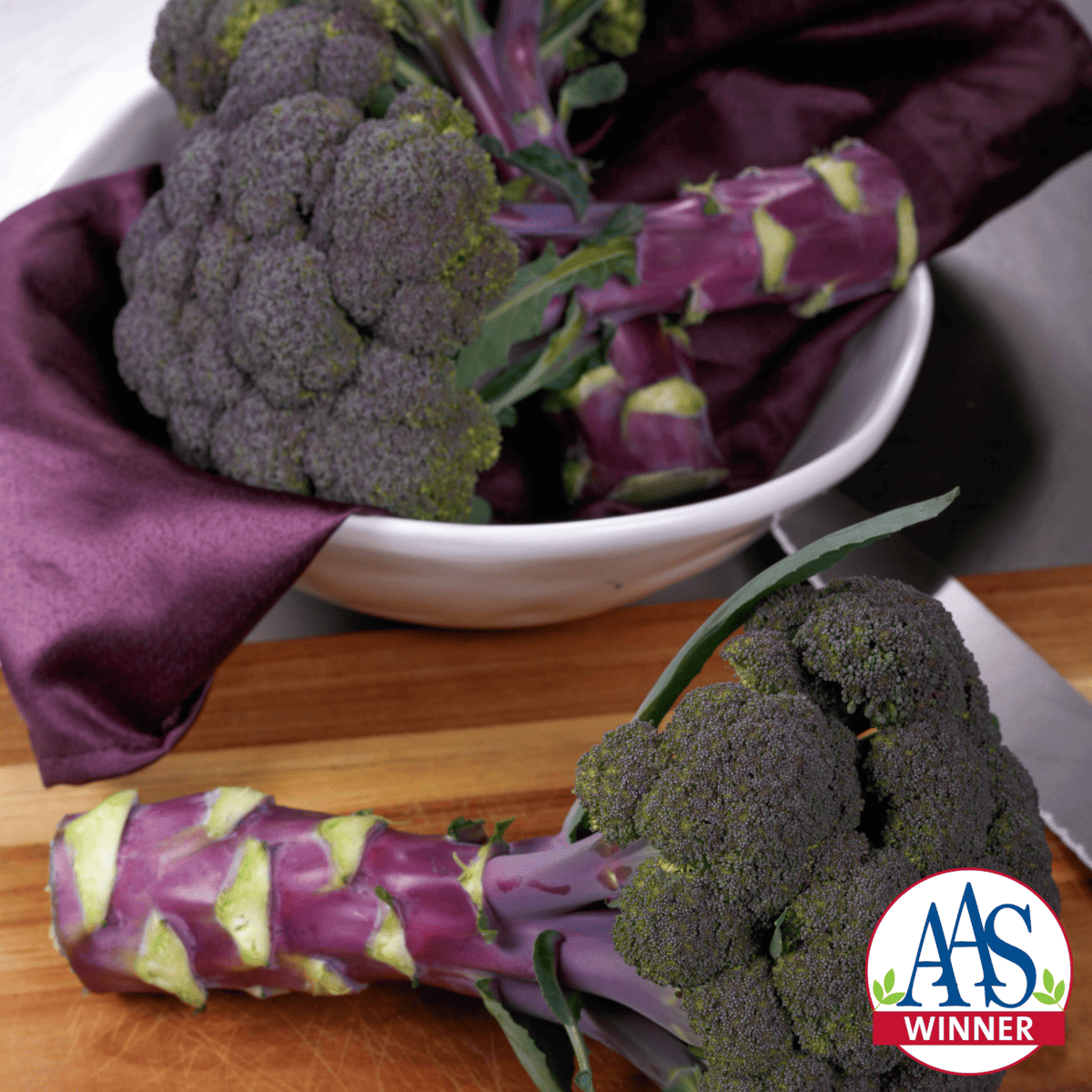 Broccoli Purple Magic - AAS Vegetable Winner