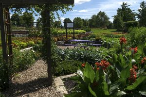 Noelridge Park Gardens AAS Display Garden