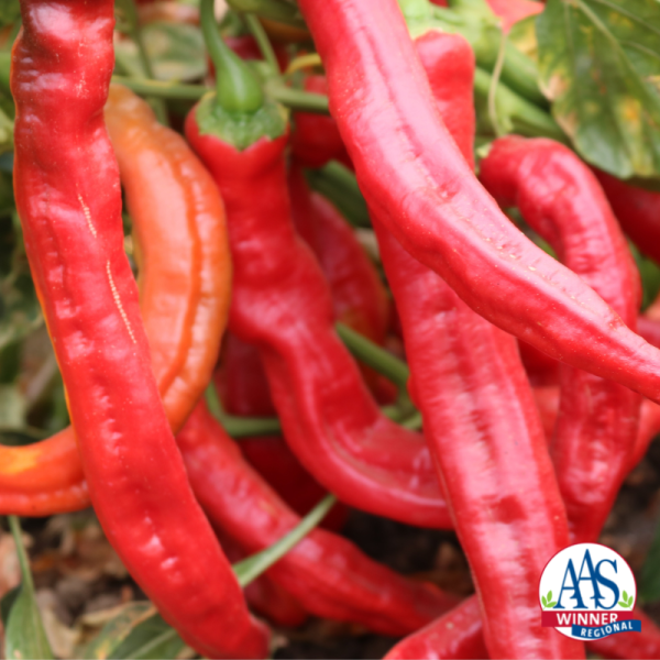 Pepper cayenne Wildfire_logo