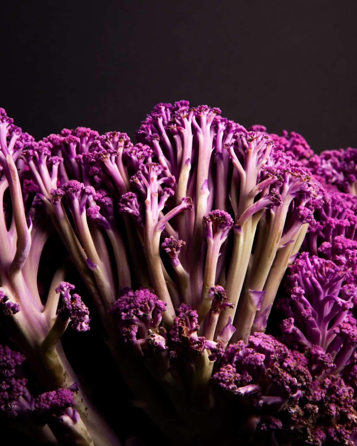 Cauliflower Murasaki Fioretto 70 F1 - AAS Winner