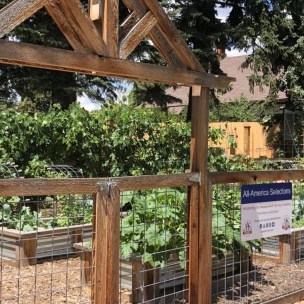 AAS landscape design challenge - Horticultural Art Society Demonstration Garden in Colorado Springs, Colorado