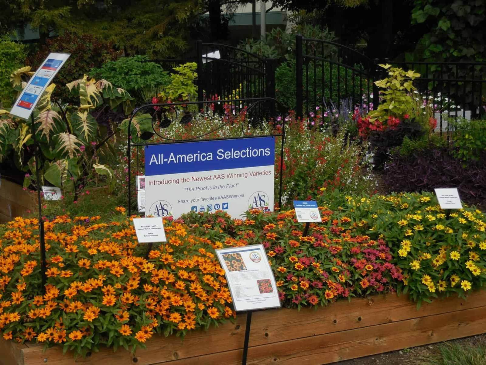 AAS landscape design challenge Purdue Extension-Marion County Demonstration Garden in Indianapolis, Indiana
