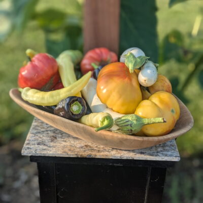 Harvest Basket