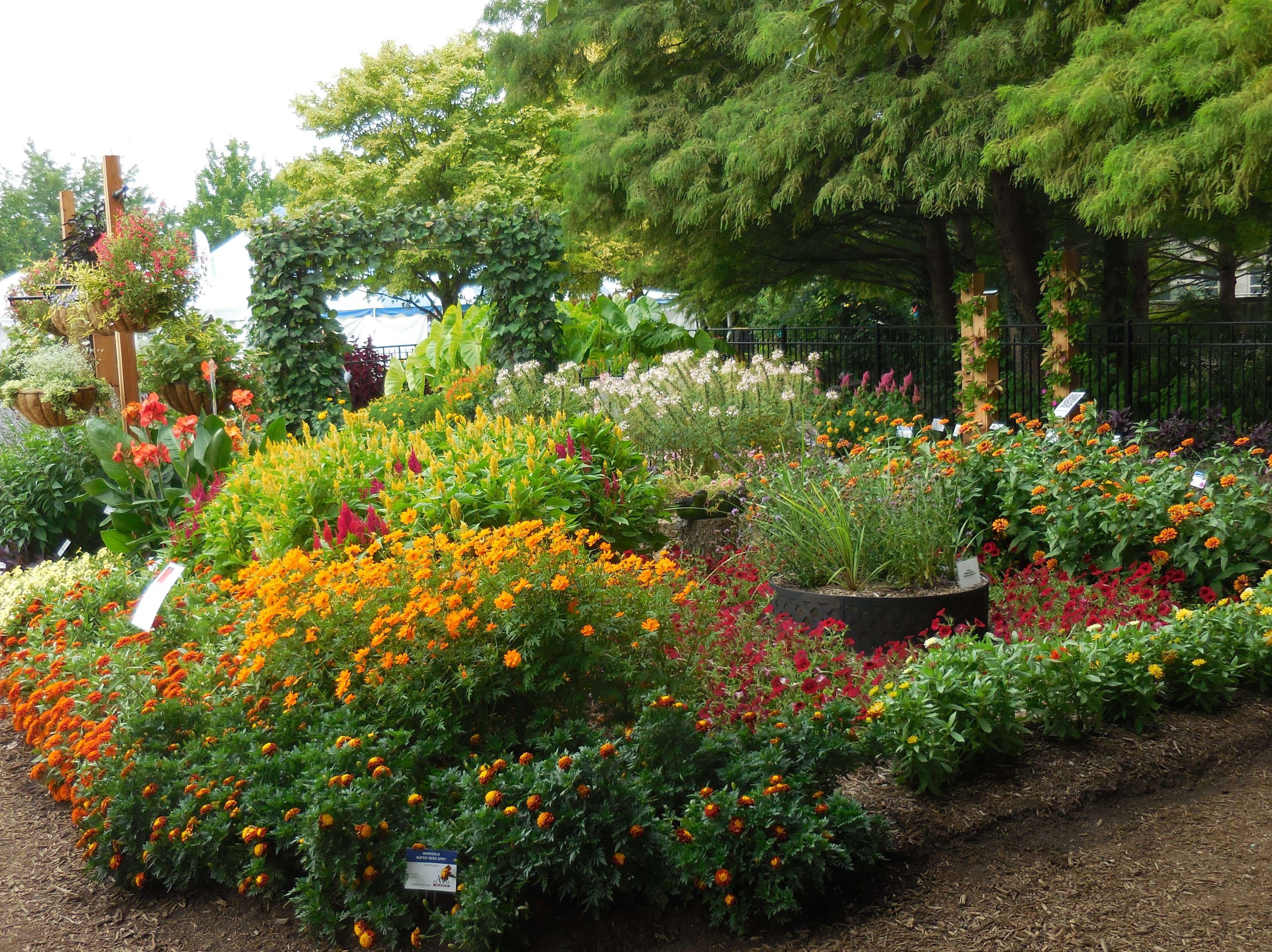 First Place Winner: Purdue Extension-Marion County Demonstration Garden in Indianapolis, Indiana