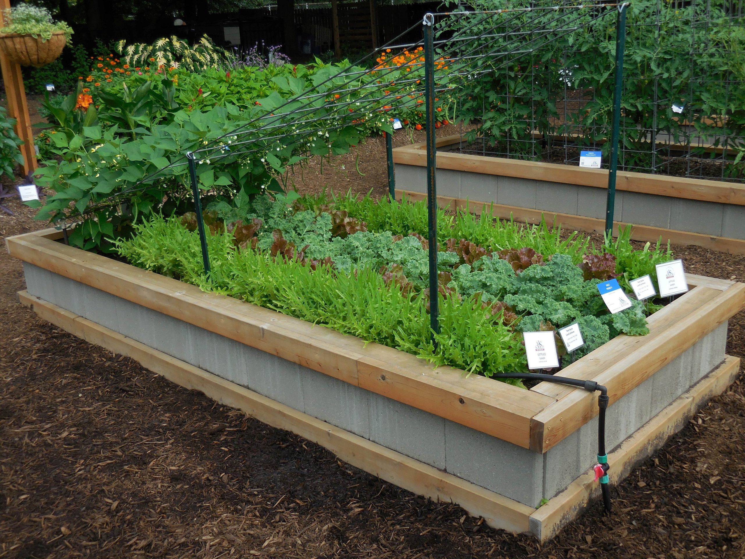 First Place Winner: Purdue Extension-Marion County Demonstration Garden in Indianapolis, Indiana