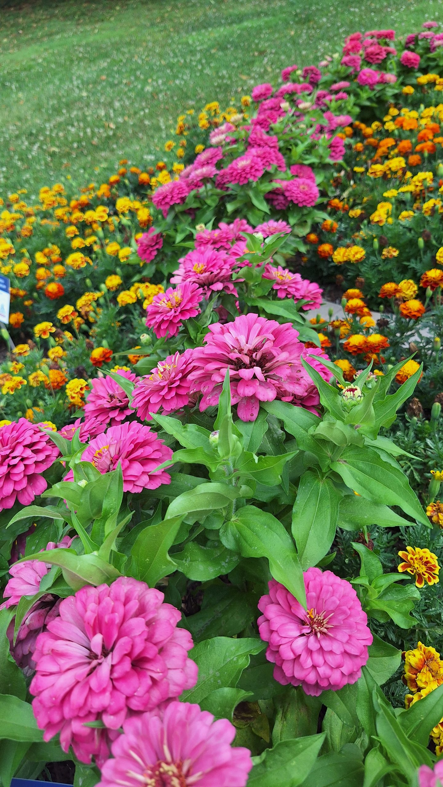 Third Place Winner: Community Arboretum at Virginia Western Community College in Roanoke, Virginia