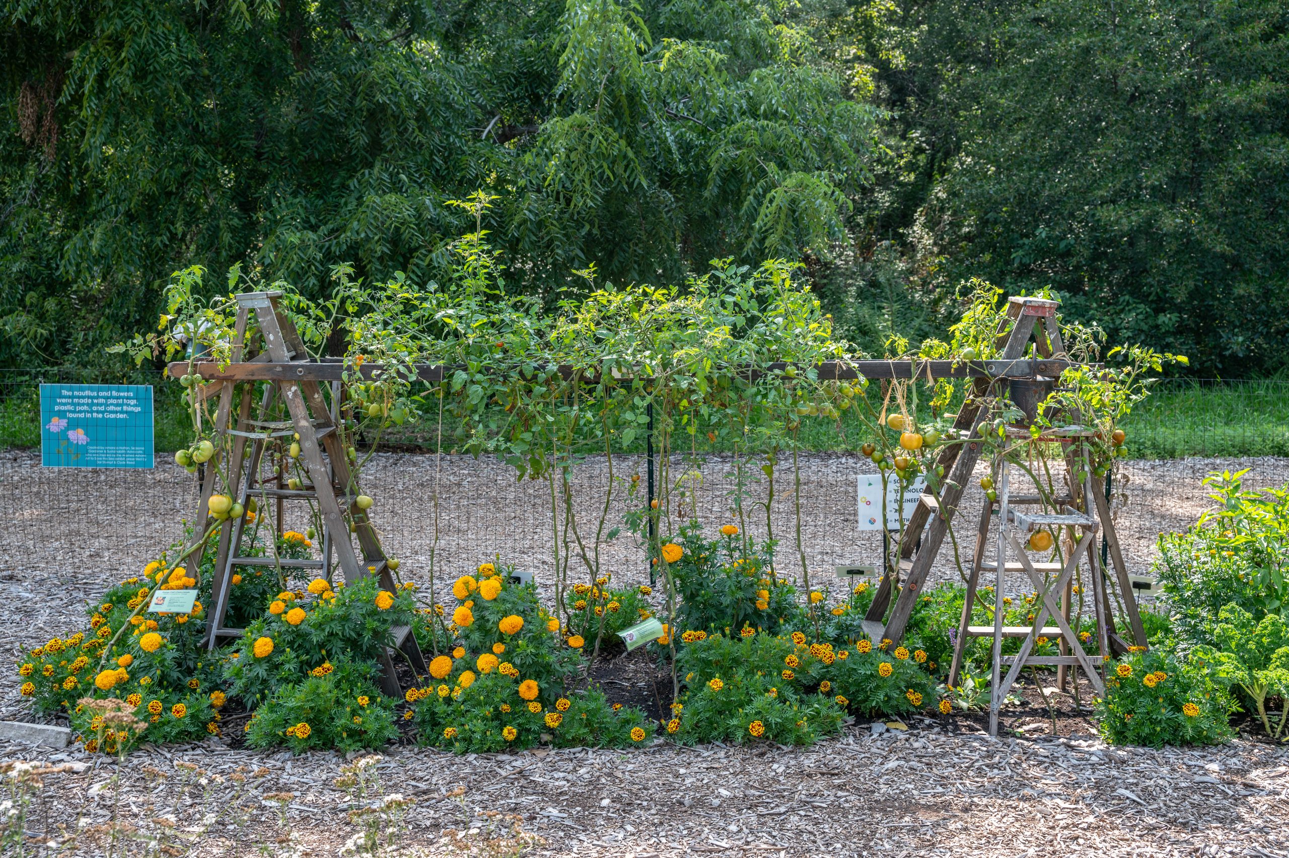 Green Bay Botanical Garden