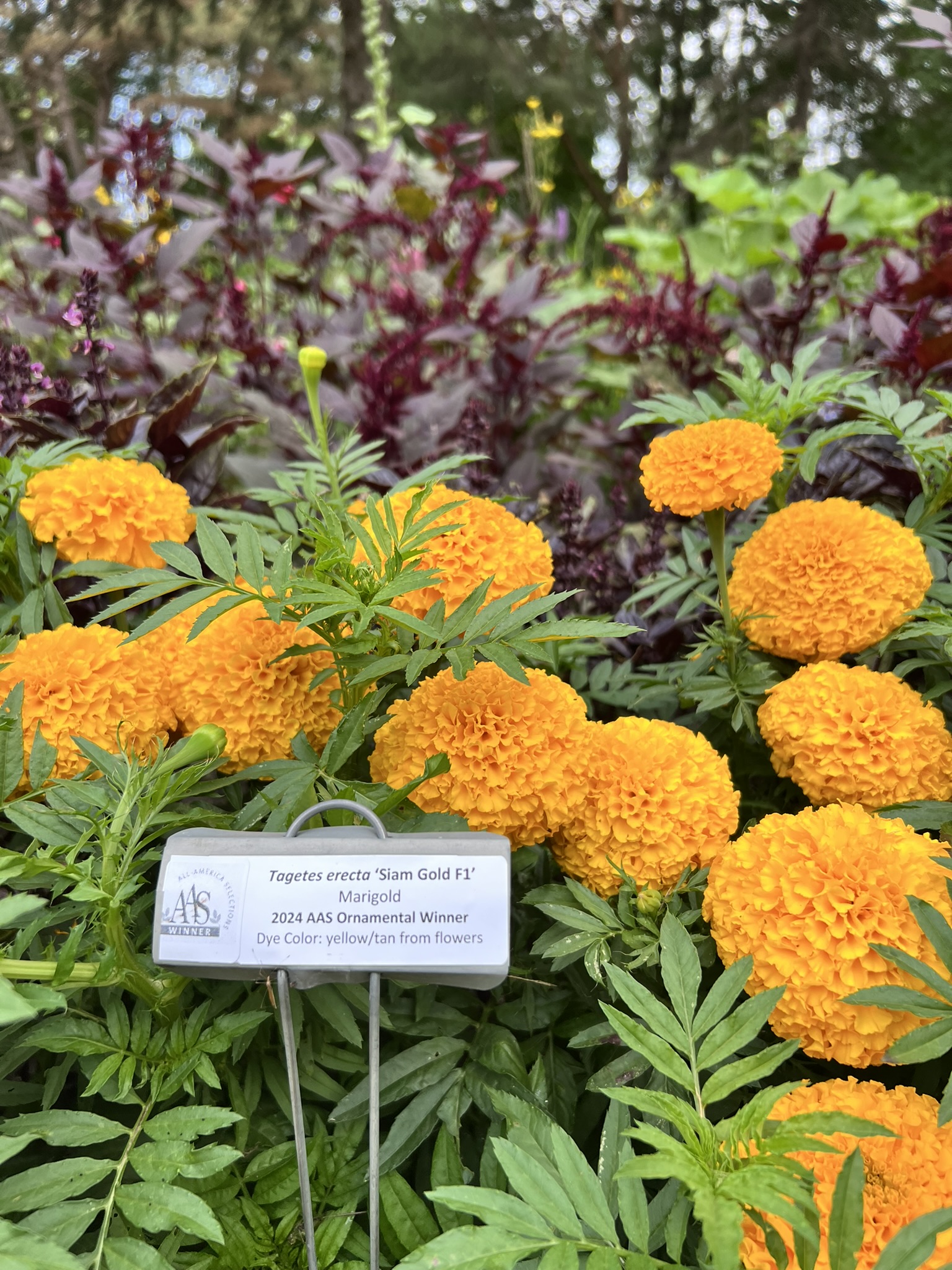 McCrory Gardens in Broookings, South Dakota