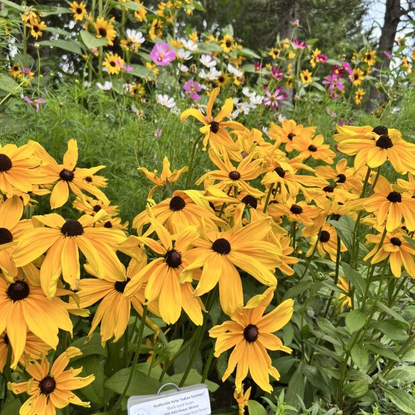 McCrory Gardens in Broookings, South Dakota
